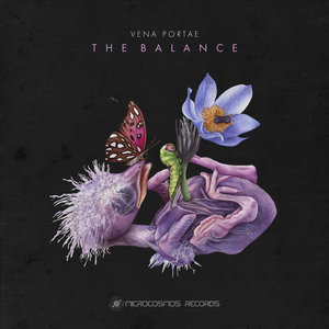 The Balance (Desert)