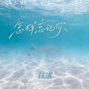 怎样忘记你（伴奏）