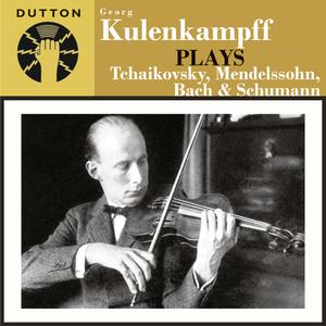 Violin Concerto in D, Op.35: I. Allegro Moderato