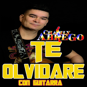 Te Olvidaré (Versión Con Guitarra)