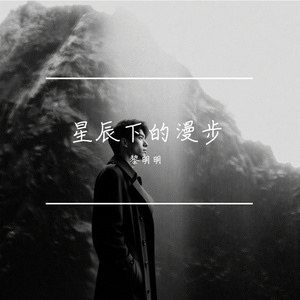 星辰下的漫步