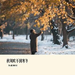 秋风吹不到寒冬 (Cover 任夏)