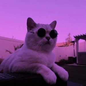 LABUBU LABUBU (mega slowed)