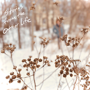 This Could Be Our Night