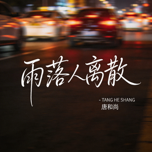 雨落人离散（热播版）