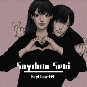 Soydum Seni