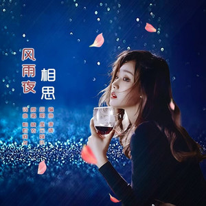 风雨夜相思DJ版