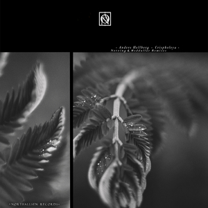 Confidential Force (Moddullar Remix)