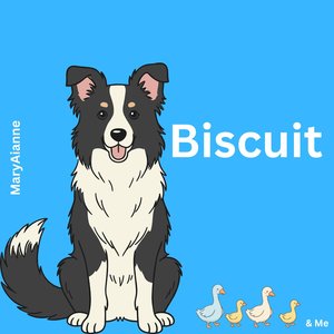 Biscuit