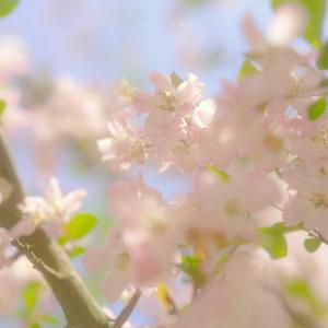 4월의 어느 봄날