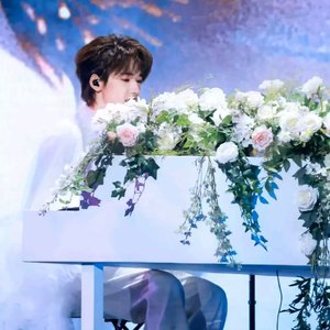 不枉（cover 汪小敏）