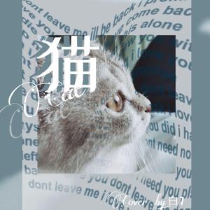 猫（翻自 DISH//）