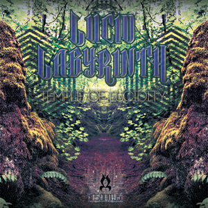 Staring Through The Wall