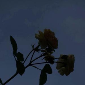 天龙八部之宿敌