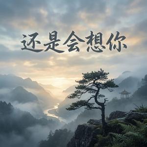 还 是会想你