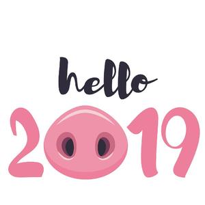 天上掉下个林妹妹