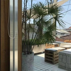 彼岸花 (dj版)