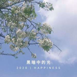 林忆莲-黑暗中的光 Prod. K2K（LiT.ze remix）