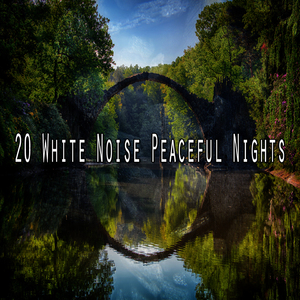 用白噪音找到內心的平靜