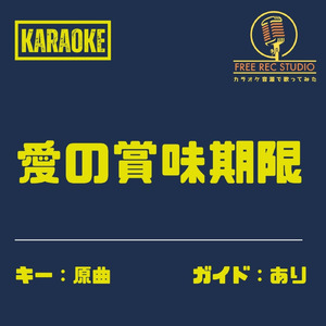 愛の賞味期限 (カラオケ ガイドあり)