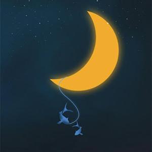 夏夜晚风-懒猪先生