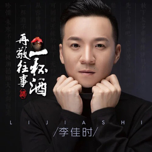 再敬往事一杯酒（DJ何鹏版）