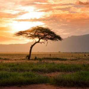 Africa