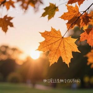 相信爱还是相信你