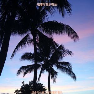 办公室工作时髦的爵士