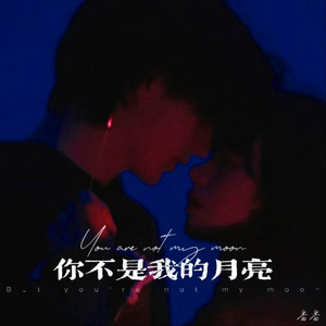 你不是我的月亮