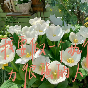 你是你的常青树