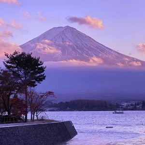 林宥嘉（Cover：徐秉龙）