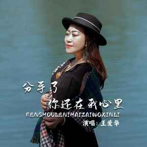 分手了你还在我心里 (伴奏)