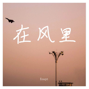 在风里
