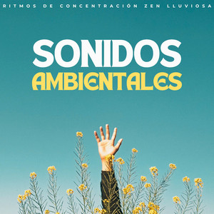 Llovizna De Concentración Tranquila