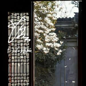 落 (0.8x降调 DJ小瑞版 )