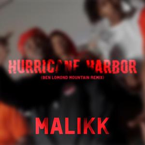 Hurricane Harbor Mountain