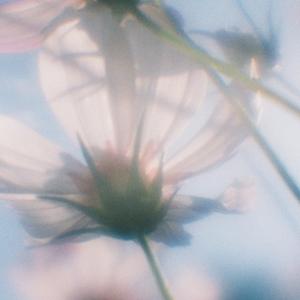 Just someone i loved