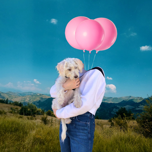 lose someone like you