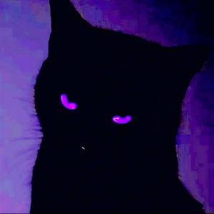 What can I (Brazilian phonk & Phonk)