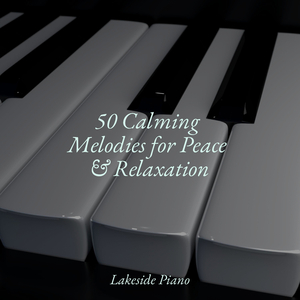 Liszt Liebestraum No 2 in E-Flat Major