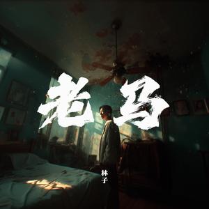 老马