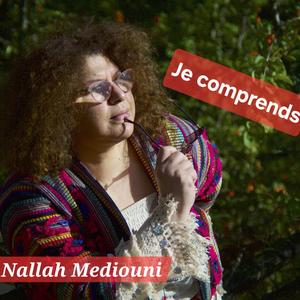Je comprends (Radio Edit)