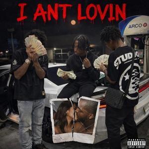Lovin no hoe (feat. 617delo & MikeLoaf)