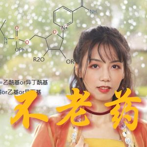 不 老 药