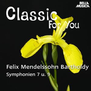 Symphonie No. 7 für Streichorchester in D Minor: II. Andante amorevo