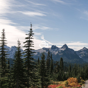 雪的羁绊（缓解压力钢琴曲）