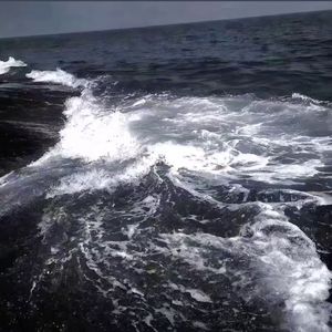 我们在梦里面反复相见