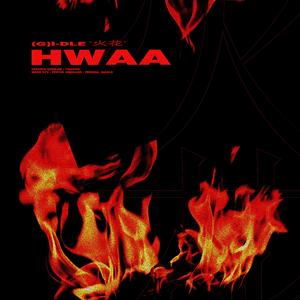 HWAA（火花）（翻自 (G)I-DLE）