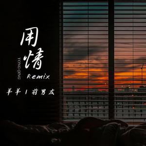 用情 (Remix)